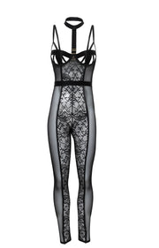 Sia Cage Lace Catsuit